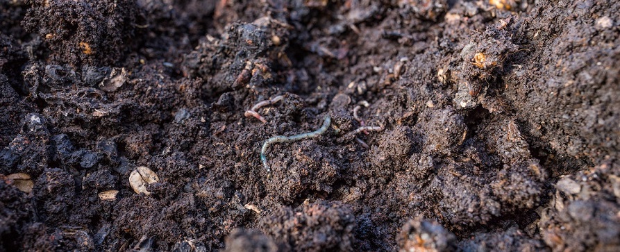 How long compost takes to be ready