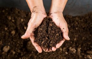 What compost looks like when ready