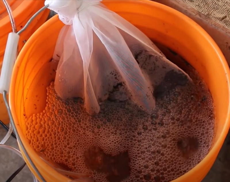 How to make Compost tea
