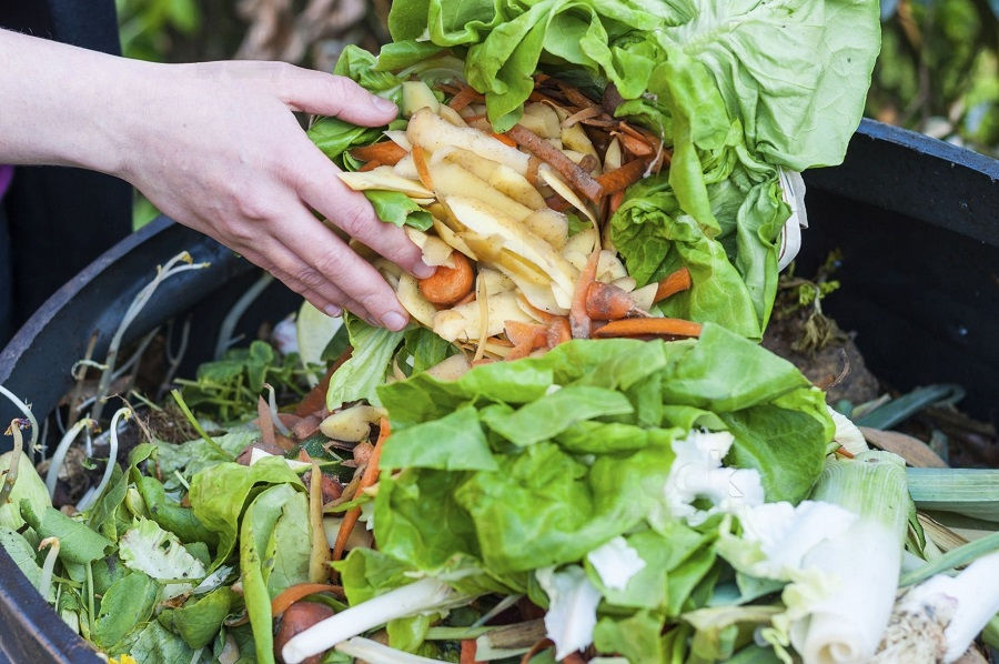 Start A Compost Pile